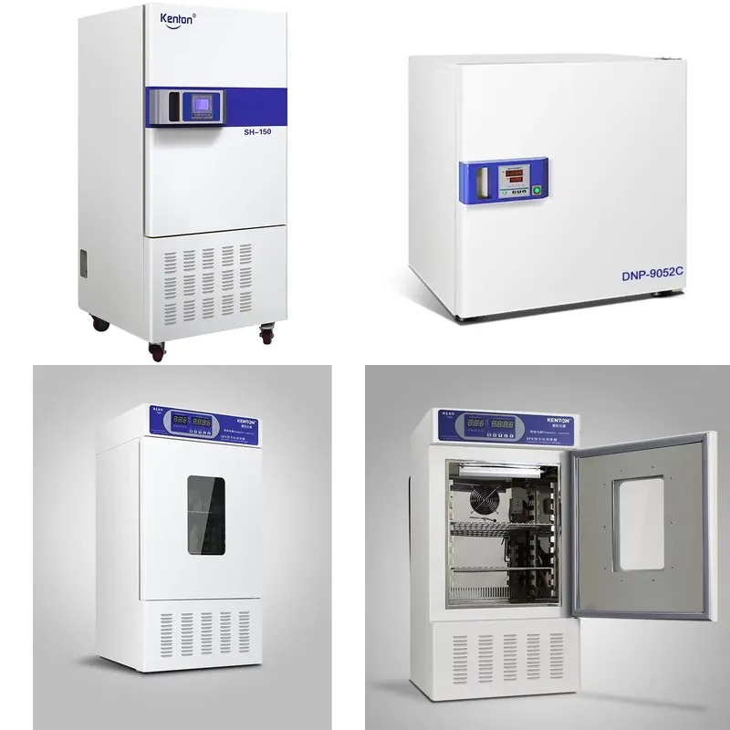 Lab Medical Microbiology Bacte - Medical Lab Microbiology ulasan dan harga