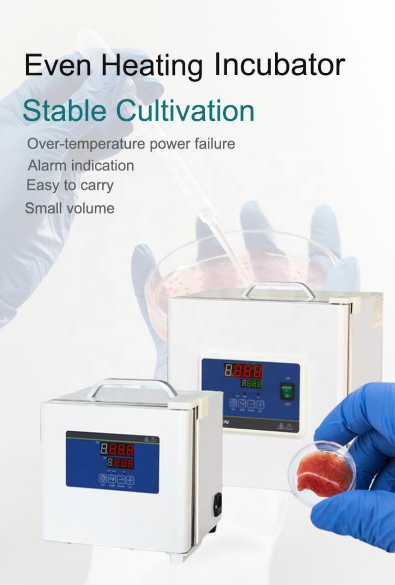 WEIAI Lab Incubator Microbiolo - Medical Lab Microbiology ulasan dan harga