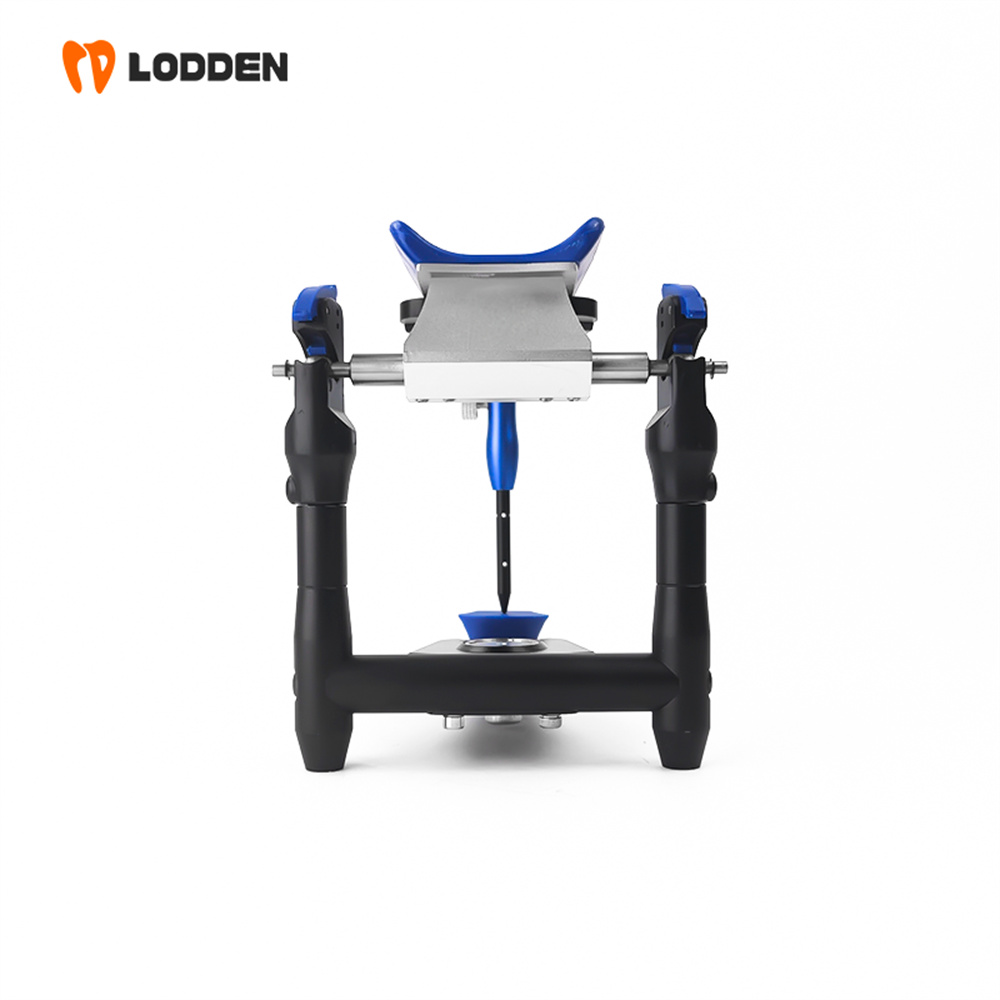 LODDEN BN Value Articulator Mi - Medical Lab Values ulasan dan harga