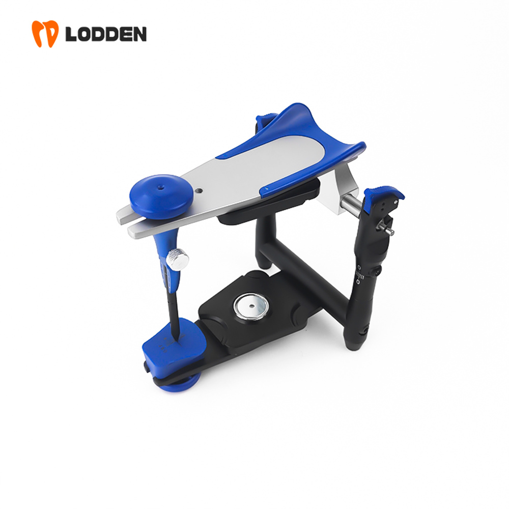 LODDEN BN Value Articulator Mi - Medical Lab Values ulasan dan harga